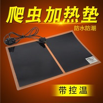 Reptile box Temperature control heating pad Lizard snake Palace guard box Spider Scorpion Hamster Hedgehog Honey bag ferret Squirrel