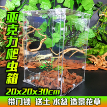 Acrylic reptile box with web spider lizard chameleon guard tree frog special transparent screw insulation feeding box