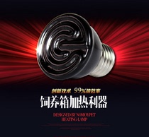 Mini ceramic heating lamp 60W parrot heating lamp tortoise lizard far infrared heating lamp heater night light