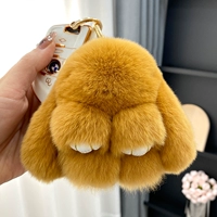 Карамельный цвет истинный при волос кролика REX