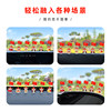 Fortune God National Day Red Flag Car Interior Decoration 2026 New Model Funny Car Dashboard Healing Item