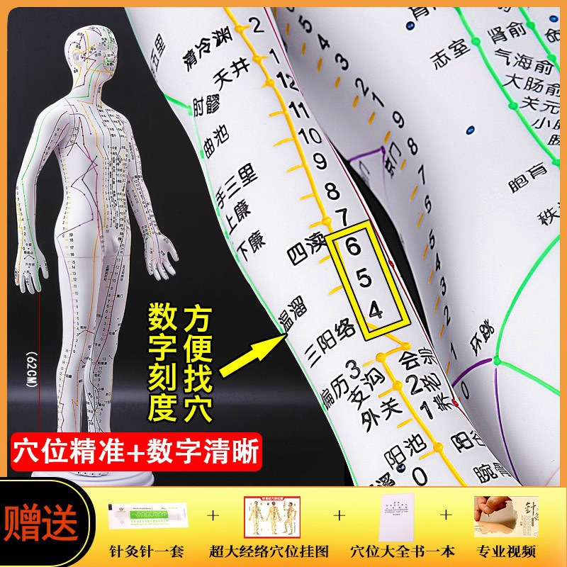 中医鍼灸学、婦人学 针灸学- 京东