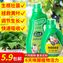 Concentrated nutrient solution green turquoi multi-flesh hair rich tree rich and expensive bamboo special water bacon fertilizer special nitrogen phosphorus potash fertilizer organic fertilizer