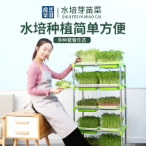 Bean sprouts sprouting basin sprouts vegetable nursery tray planting soilless vegetable cultivation artifact household hydroponic vegetable paper