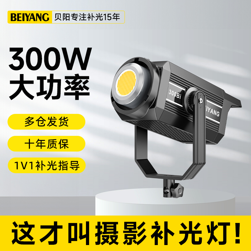 Beiyang 300W 写真撮影補助光 屋内スタジオ撮影専用照明 プロの写真カメラライト 子供 ポートレート写真 ソフトライト 食品 ジュエリー照明器具 LED定常光