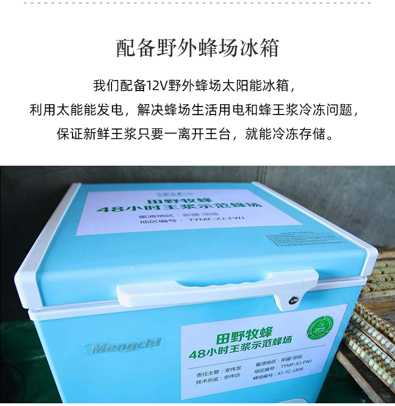 Wang Po 790 fonts_12.jpg