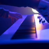 Список новых продуктов Arturia Keylab Essential 88 Professional Around Midi Keyboard Strike Pad