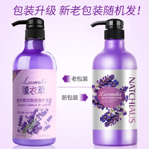 Coconut Oil Care Recurrence Conditioner De-oiling Oil-Control Refreshing Oily Hair Suitable for Womens Nutrition and Smoothing