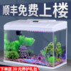 Chudi 2025 New Model Glass Goldfish Tank, Small Size for Living Room, Home Use, No Need to Change Water, Ecological Tank with Filtration and Oxygenation All-In-One Machine
