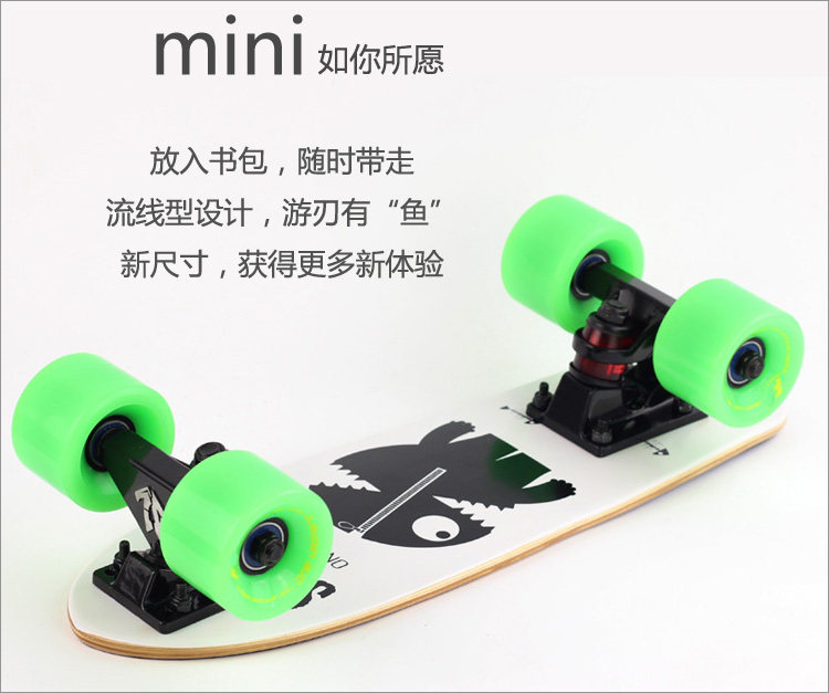 Skateboard pour homme femme enfant - Ref 2596289 Image 19