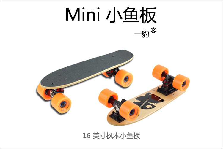 Skateboard pour homme femme enfant - Ref 2596289 Image 16