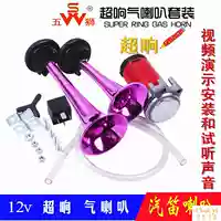 Năm con sư tử sừng 12 v xe máy sửa đổi phụ kiện xe điện bơm không khí còi gió 12 v siêu xe tải - Phụ tùng xe máy đĩa xe máy