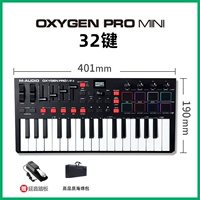 Oxygen pro mini32+педаль+пианино сумка (место)