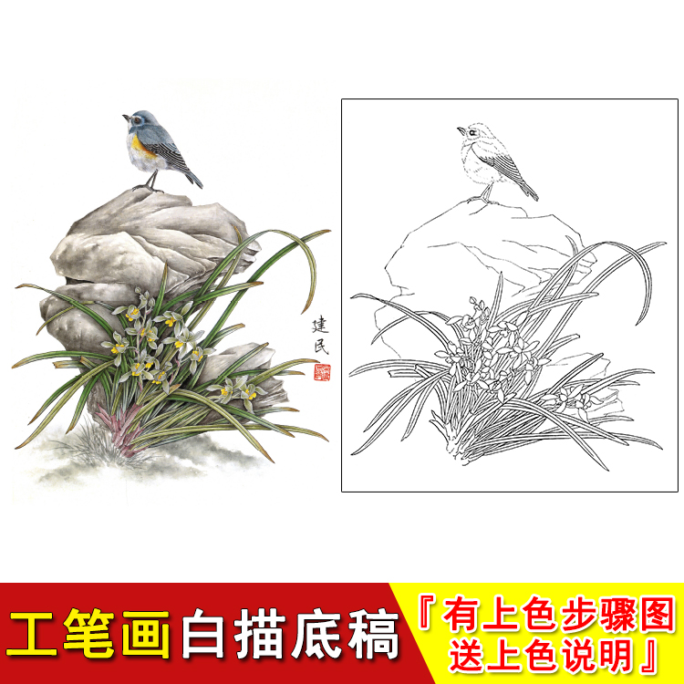 National painting flower orchid artificial stroke white sketching draft line sketch manuscript copy exercises early physical printing manuscript YB06-Taobao
