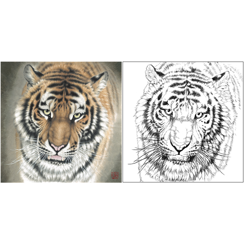 Meticulous painting line drawing draft, Tiger head Meng Xiangshun four-foot bucket Chinese painting physical printing line draft non-rice paper A641
