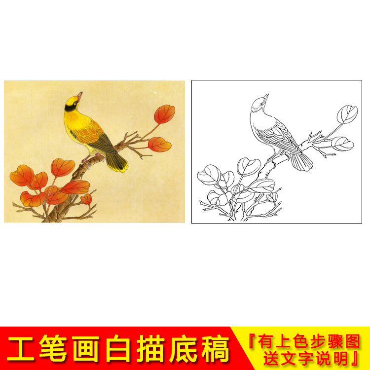 Physical printing of the Chinese painting line brush painting white depiction of blossom bird Huang Ya08