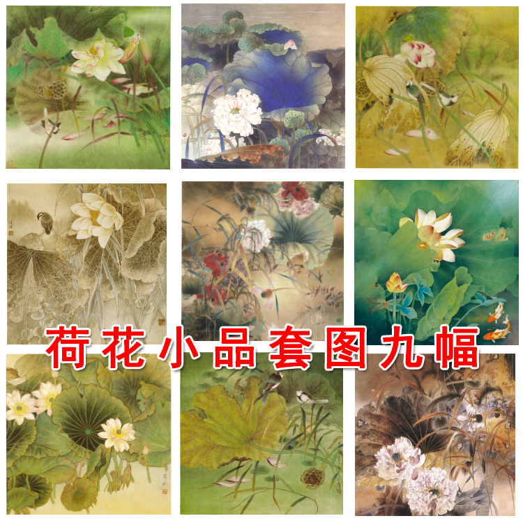 Meticulous painting line drawing manuscript Lotus bucket sketches copying line a total of 9 physical printing Q009