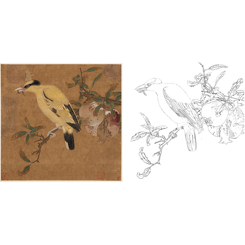 Lizhi yellow bird figure Song painting Mao Yigong pen flower and bird Sketch line drawing bottom draft physical printing line draft non-electronic GH21