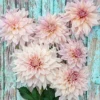 Товары от 鱼儿爱花花