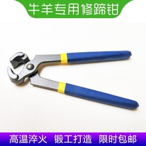 Buffalo hoof knife walnut clamp and sheep with hoof-hoof tool for clamp and clamp for hoof-clamp