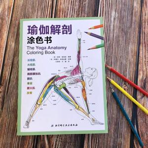 瑜伽解剖涂色书 (美)凯莉·索洛威(Kelly Solloway) 生活休闲