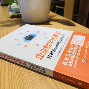 企业数字化基石(阿里巴巴云计算基础设施实践)/阿里巴巴集团技术丛书 高山渊等 网络技术