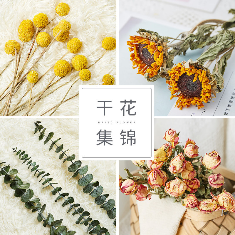 Dry flower home decoration ornament Eucalyptus leaf rose gold ball bouquet living room dormitory net red ins wind flower arrangement