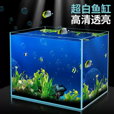 Jinjing ultra-white glass fish tank Fixed aquarium Living room small rectangular grass tank Seawater tank Turtle tank Ecological tank