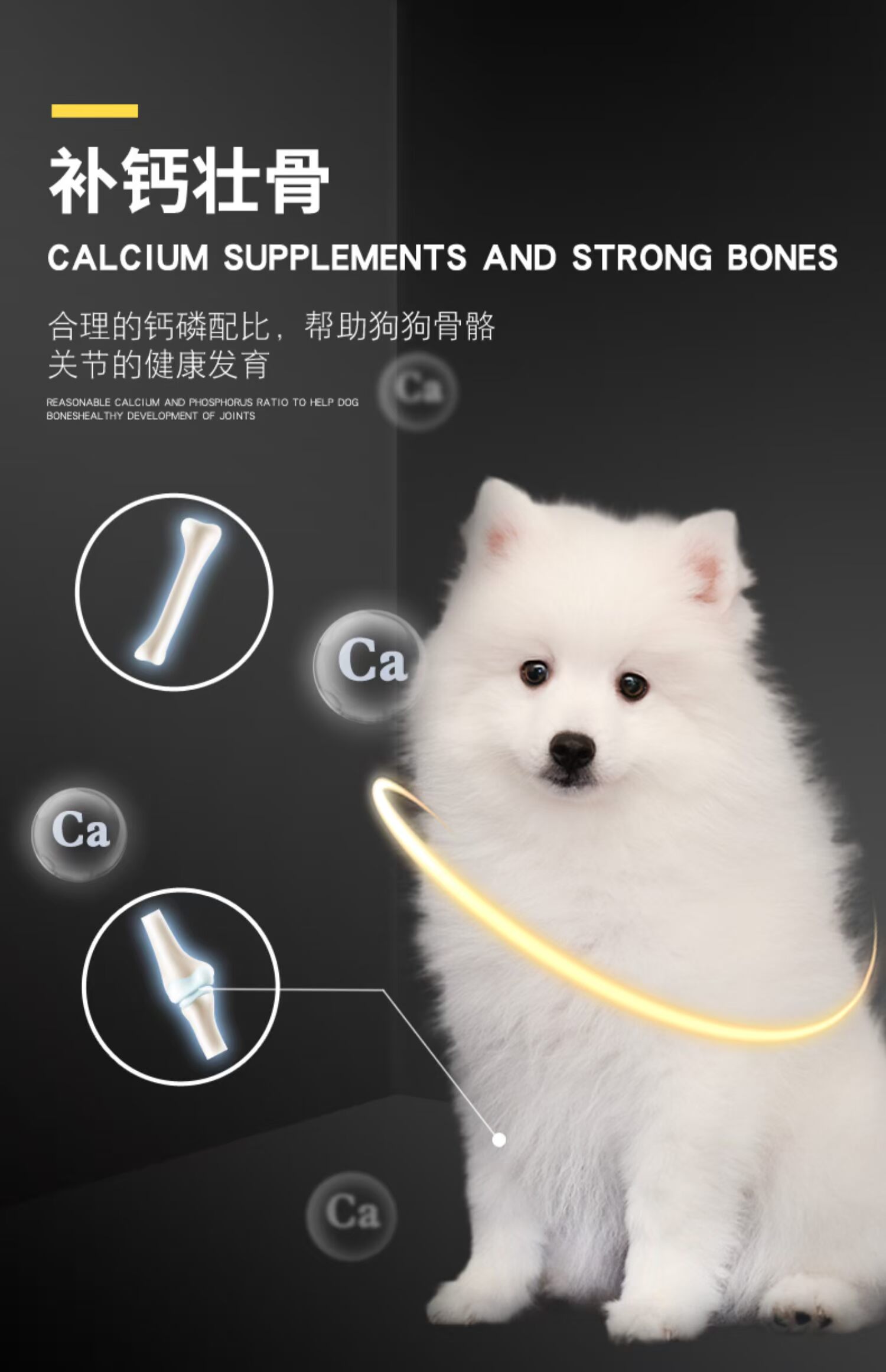 Chó cáo bạc đặc biệt thức ăn cho chó đặc biệt chó cáo bạc chó con chó trưởng thành 5kg chó vừa và nhỏ nói chung 10 kg lông đẹp để xé trắng - Chó Staples thức ăn thưởng cho chó