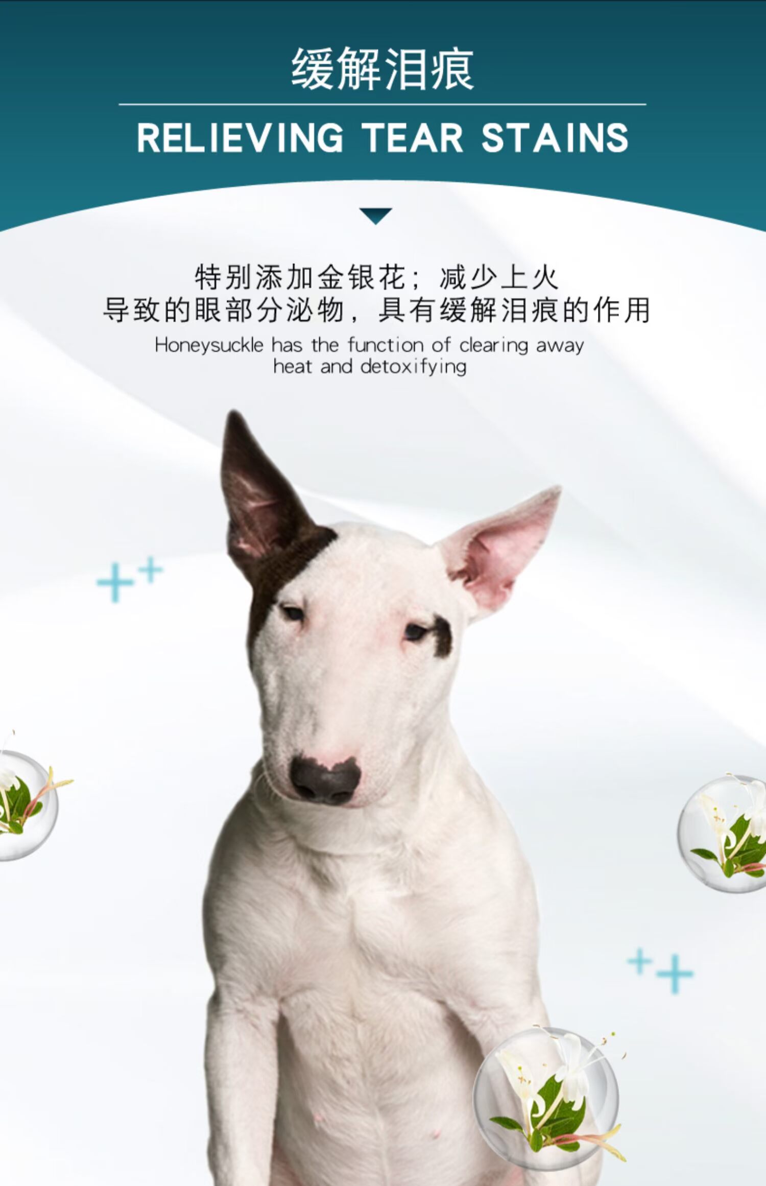 Chó Bull Terrier Thức ăn cho chó 10kg Chó con Chó trưởng thành Đặc biệt Chó nhỏ và vừa Đặc biệt Thức ăn cho chó tự nhiên nói chung 20 kg Làm đẹp bằng lông - Chó Staples thức ăn cho chó poodle