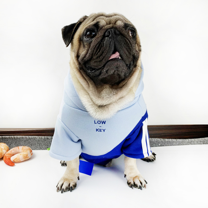 Bago Fadou plus velvet clothes pet sweater color matching clothes warm fat dog bullfight clothes dog plus velvet cotton coat