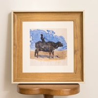 Бай Бьяньюан