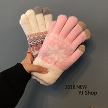 Day series autumn and winter small deer wool line warm gloves with floss suede points to student female winter cute Korean version lovers