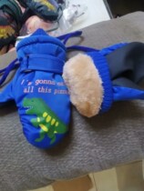 Childrens dinosaur ski gloves boy girl outdoor waterproof anti-slip cartoon Chinese boy bag refer to gush and finger warm