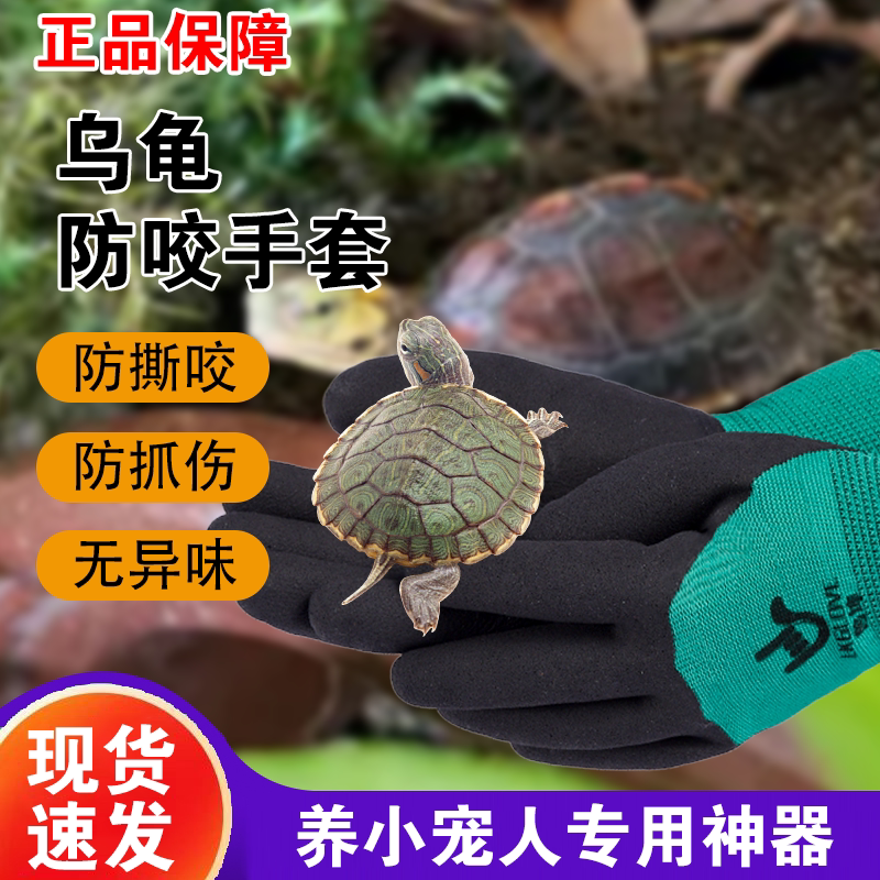 乌龟防咬手套仓鼠鹦鹉实验室小猫咪防抓金丝熊爬宠成人儿童狗狗