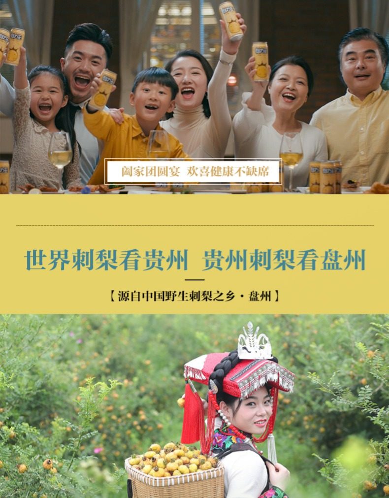 刺力王 鲜榨刺梨果汁饮料 245ml*12罐 图2