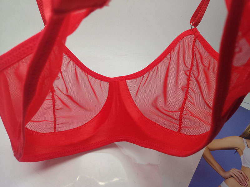 Châu âu và Hoa Kỳ mô hình thủy triều đầy đủ minh bạch áo ngực phù hợp với thời trang sexy bikini sexy lưới XL chất béo MM quan điểm