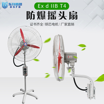 Explosion-preuve ECSTASY BTS FB500 600750 HORN FAN FLOOR FAN WALL FAN INDUSTRIAL EXPLOSION PROTECTION FAN THROTTLE