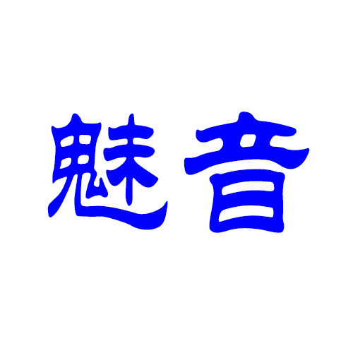 魅音乐器专营店