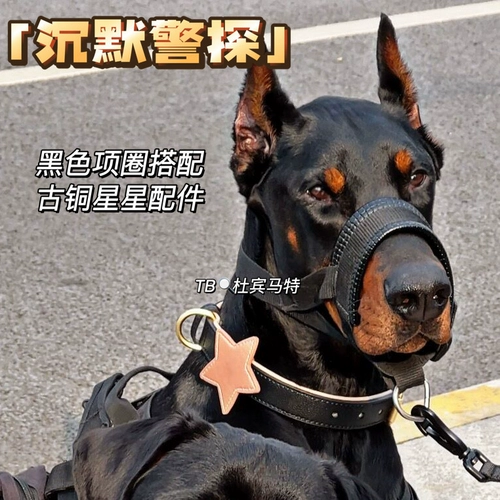 Собачья собачья круг круг злой мечта Сладкая аксессуары мечта