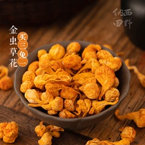 Nasi Fields Golden Caterpillar Fungus Flowers production of wormgrass flower dried goods with a large spore head to the soup Liangliang