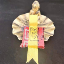 Tibet Sera Monastery three-in-one F body Ma Tou Ming King Hall heavy J holding K light F body card 3