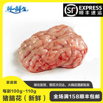  1 pair of pigs brain(left brain plus 1 pair of right brain)Fresh pigs brain flower Sichuan risotto BARBECUE Malatang hot pot ingredients