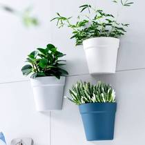 Wall-mounted hydroponics vase ornaments modern simple living room wall hanging water-cultured pothos plastic punch-free flower pots