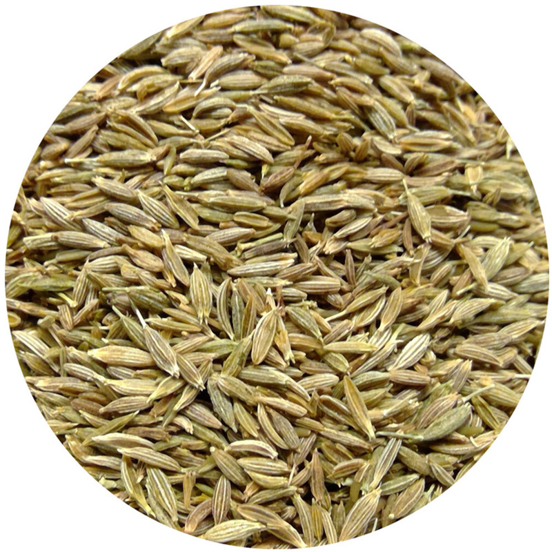 Indian Food India imported cumin seeds Spices Cumin Jeera Seeds Whloe100g