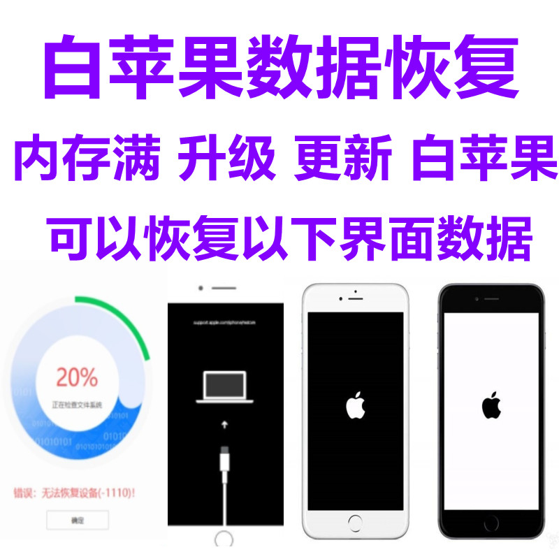 Black & White Apple iPhone Phone Memory Full Repair Report Wrong 1110 Reserved Photo Information Data Recovery Mode