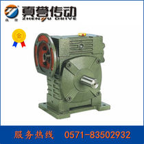 Direct sales true reputation WPWDS40-250 worm reducer iron shell reducer gearbox can be customized