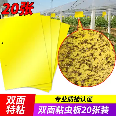 Orchard plate special yellow plate yellow insect trap board double-sided thrips small black flying greenhouse insect paste Agricultural