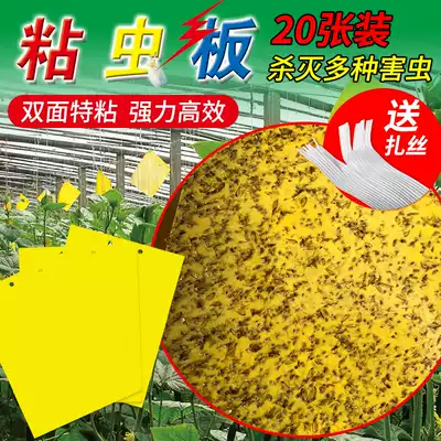 Greenhouse sticky insect board double-sided insect trap board paper paste yellow board special sticky yellow Orchard Special household insect bug patch small flying insects