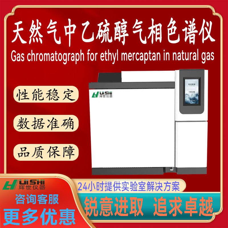 上海辉世GC450天然气中乙硫醇含量分析检测仪上门安装培训